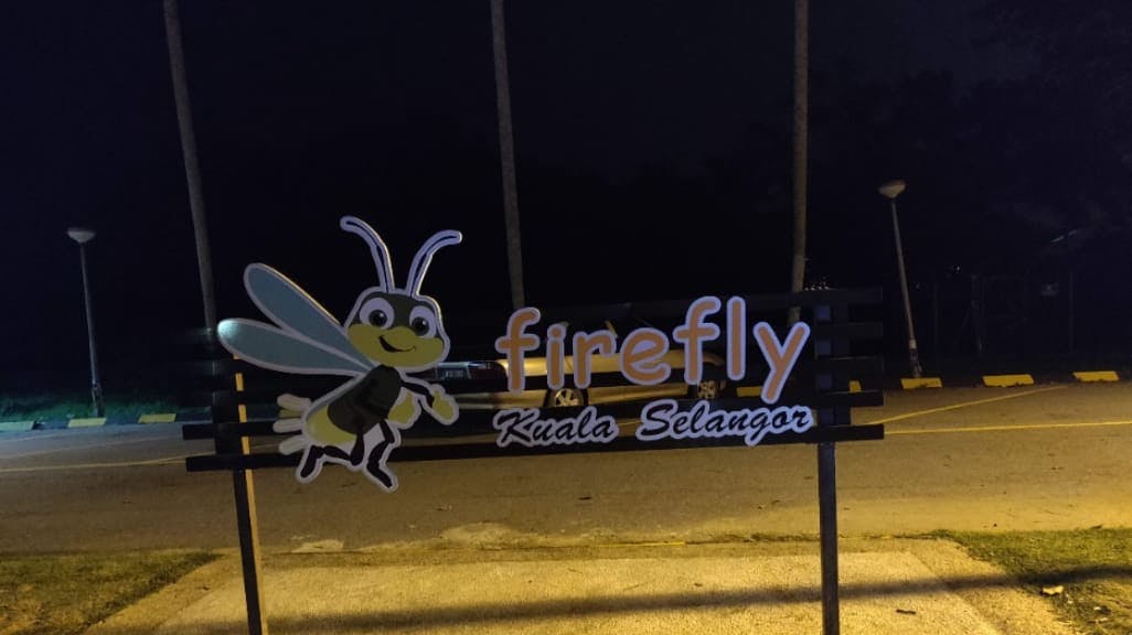 Kuala Selangor Fireflies: A Magical Nighttime Adventure