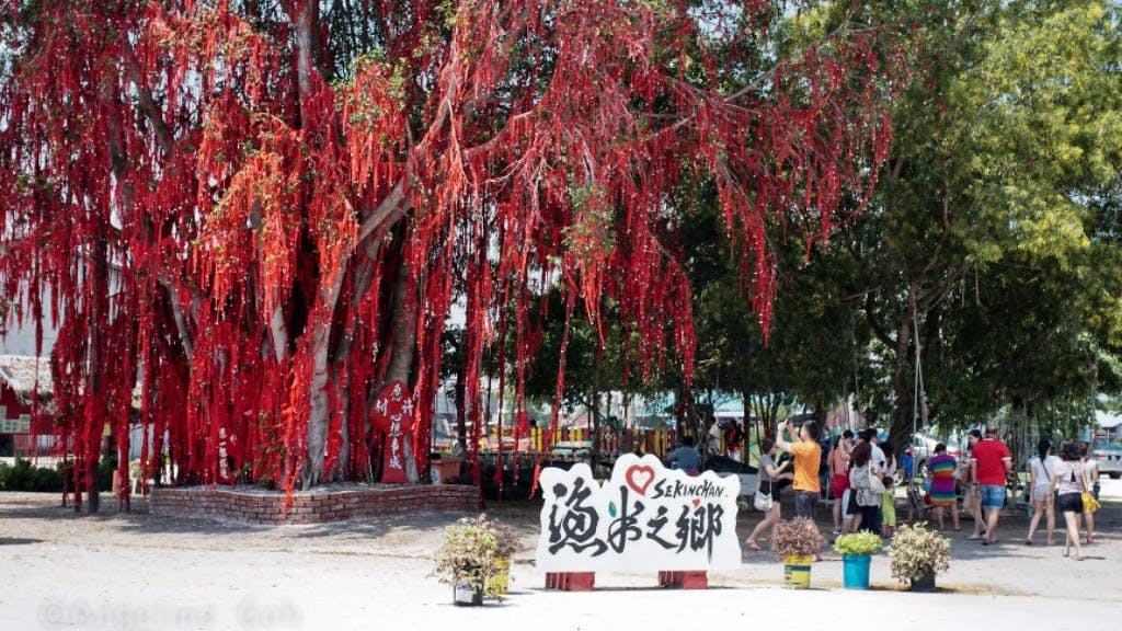 Sekinchan Wishing Tree: A Symbol of Hope and Beauty