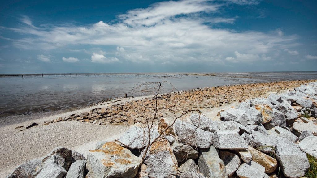 Pantai Redang Sekinchan: A Serene Coastal Escape